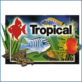  . Tropical.